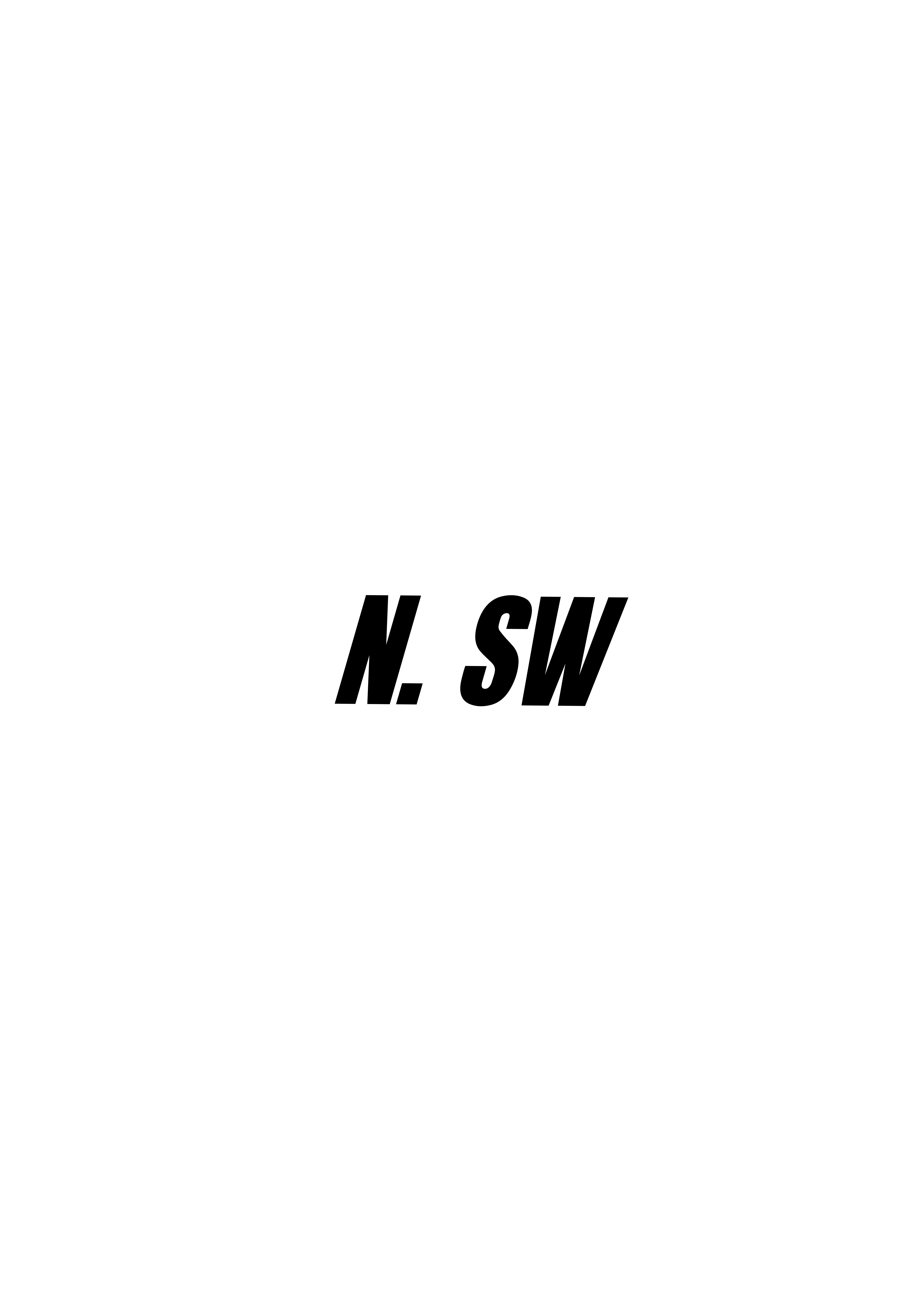 N. SW Logo